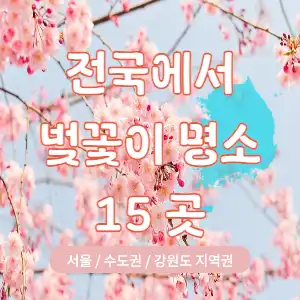벚꽃 명소