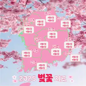 2025 벚꽃 지도