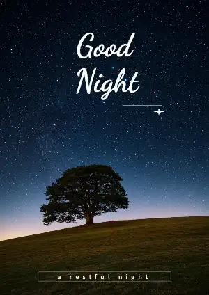 good night