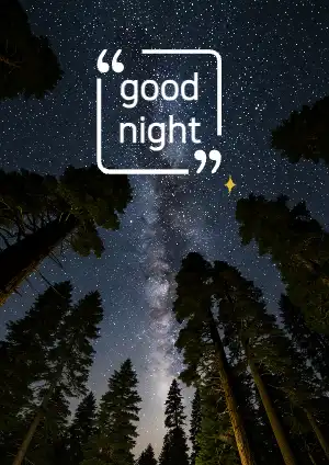 good night