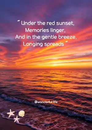 sunset sea