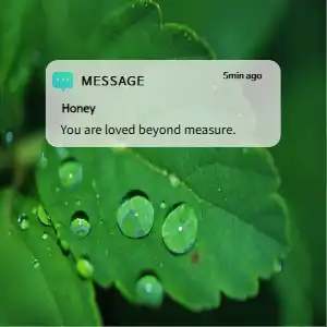 message
