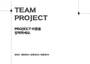 팀 프로젝트 발표