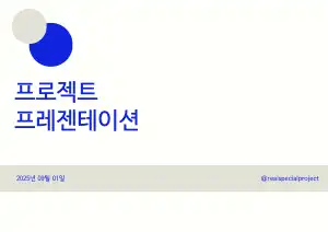 프로젝트 프레젠테이션