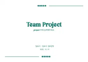 팀 프로젝트 보고서