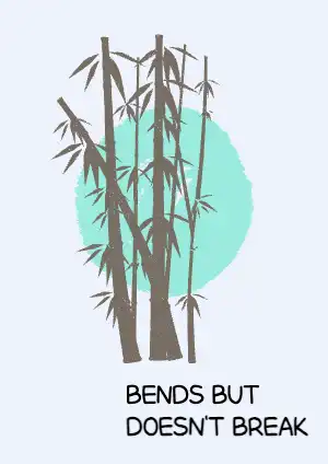 bamboo
