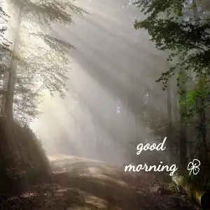good morning background