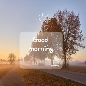 good morning