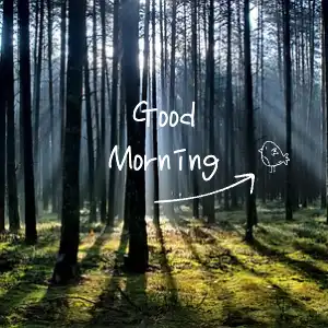 good morning background