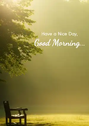 have a nice day