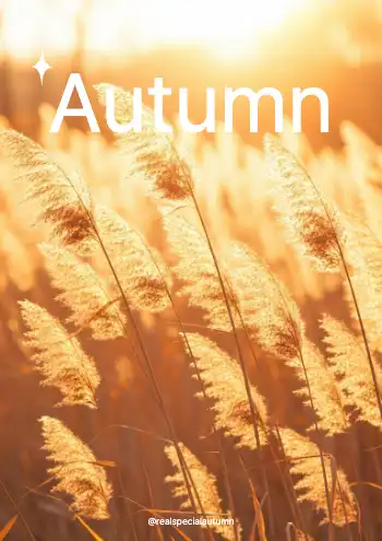 autumn poster