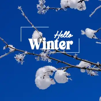 hello winter